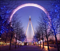 The London Eye