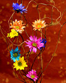 Climbing Colors