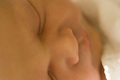 The Land of Nod