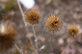 Windless