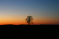 The Stillness of Sunset
