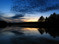 Mirrored Silence