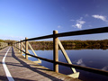 The wetlands at dawn