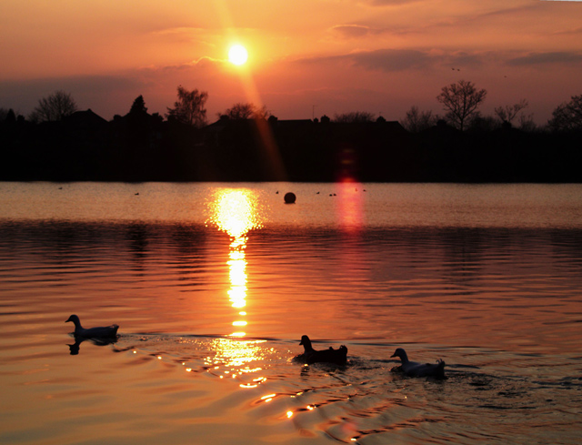 Serenity