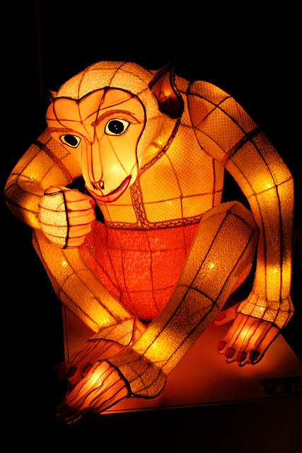 Lantern Monkey