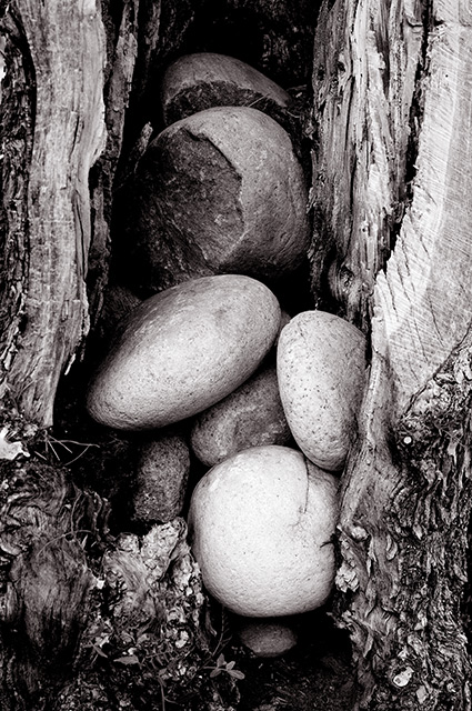 Rocks In Hard Places