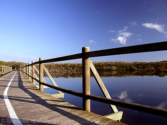 The wetlands at dawn