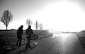 Life's Journey