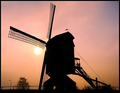 Old Windmill Near Roermond