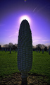 Concrete Corn Corona