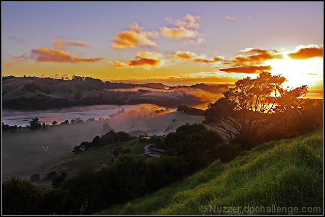 Lighting the Fog