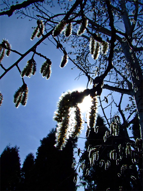 Nourished By The Sun
