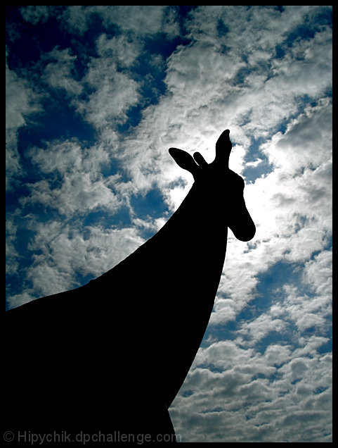 Contre-jourAffe