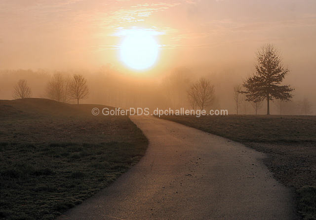 Follow The Light