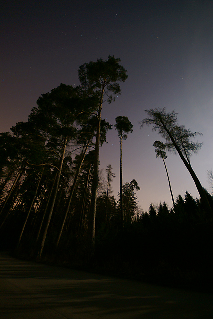 Contre-Nuit