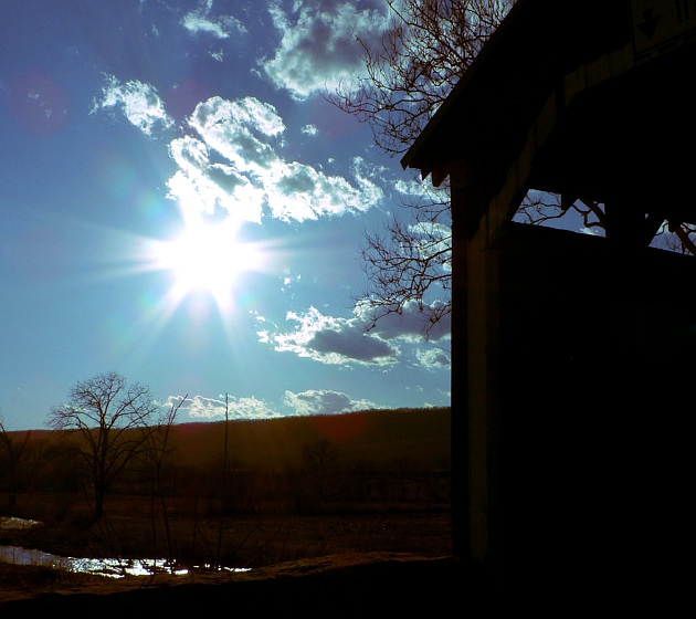 Under the wings of the sun