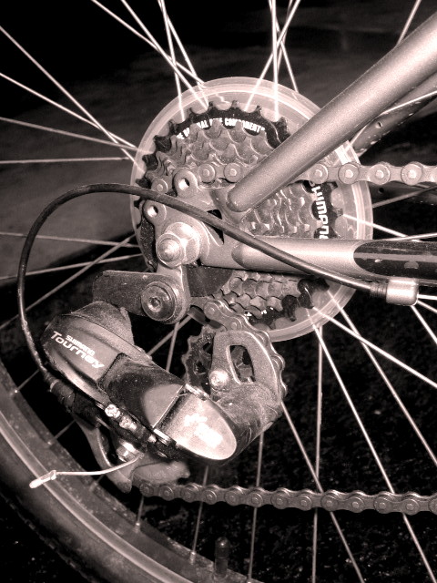 The Old Bike Chain.