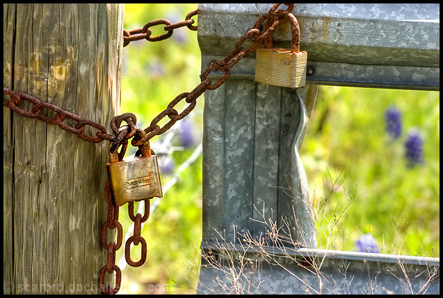 Nature Locked