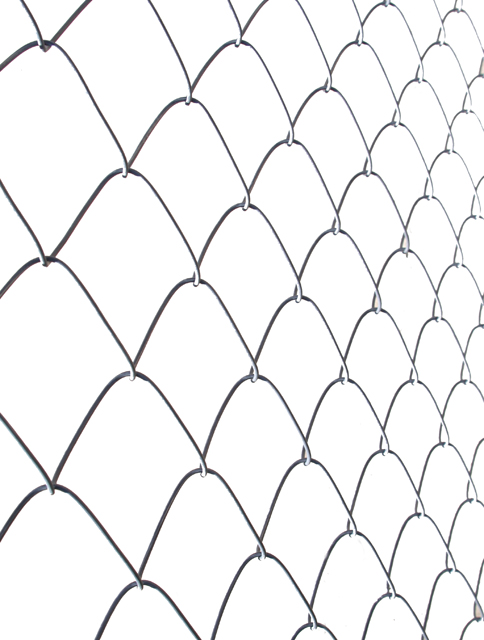 Snake Skin Fencing