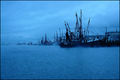 Moonlit Harbor
