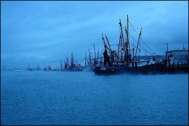 Moonlit Harbor
