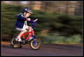 Excitement, Thrill, Discovery, Freedom . . . . Youth