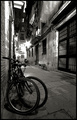 Honey, you&acute;ll never walk alone