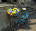 a floral bicycle