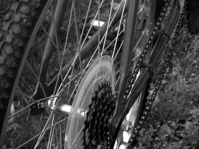 The Wheels on the Bike Go Round and Round