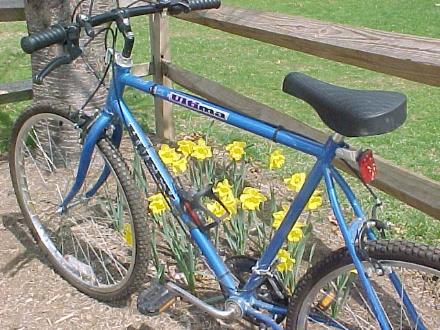 Getting Ready For A Sunday Ride