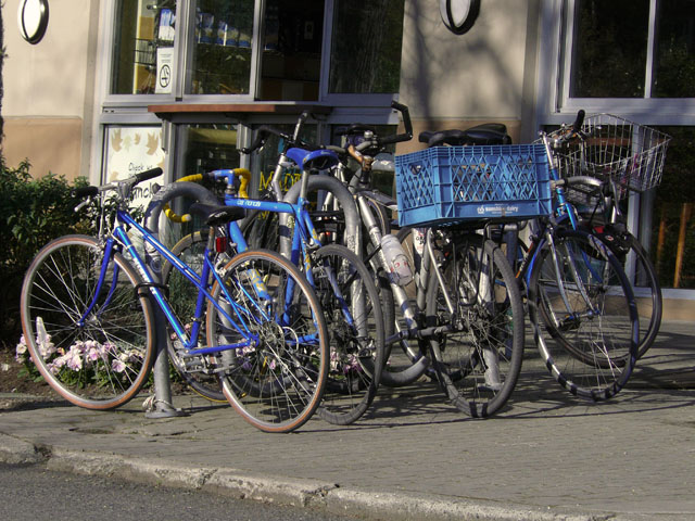 Bikes Gossip