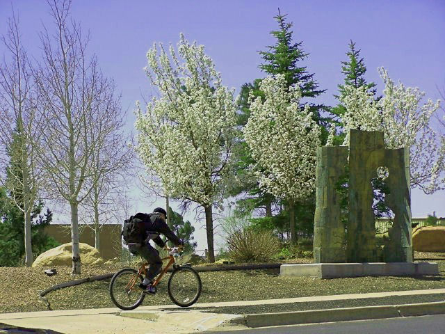 Spring Ride, Windy Day