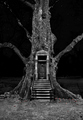 Enter by Moonlight