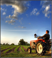 Watching My Corn Pop Up In Rows