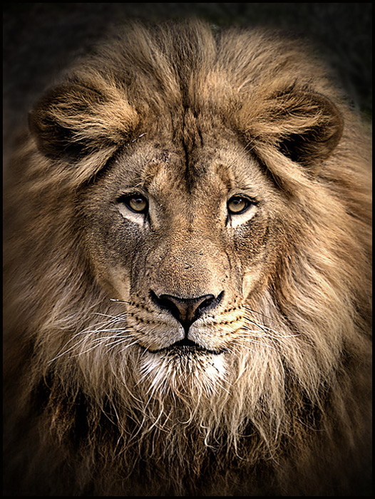 He Reigns