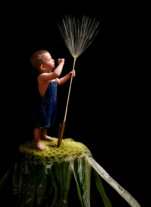 Birth of Imagination