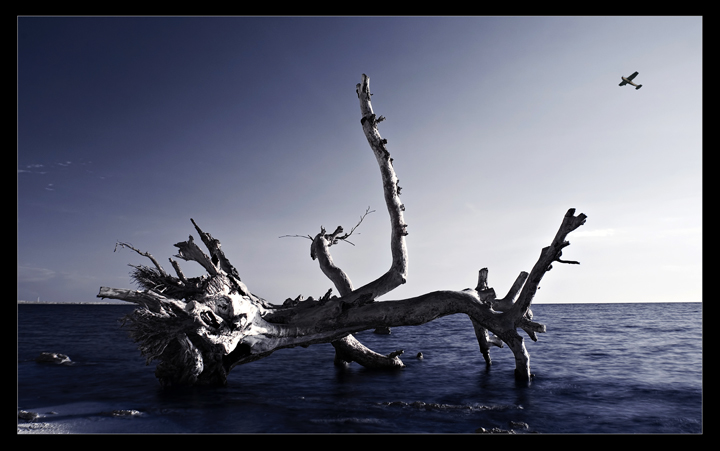 FALLEN (Infrared)