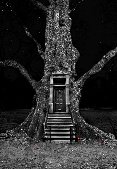 Enter by Moonlight