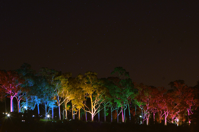 King's Park at night