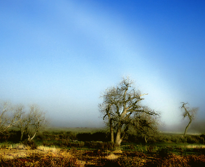 Lifting Fog