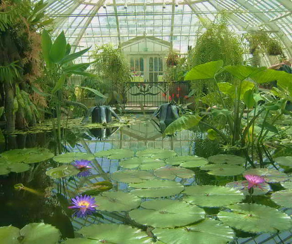 Conservatory