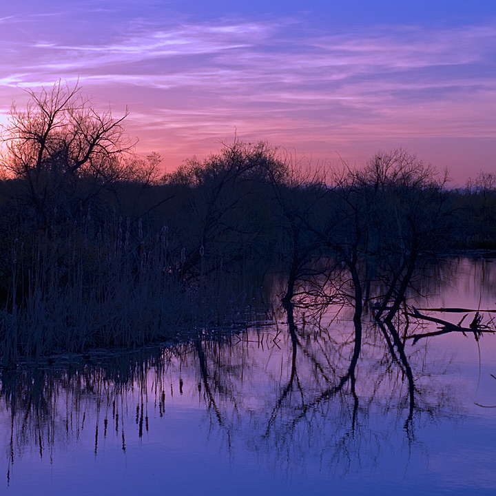 Evening Reflections