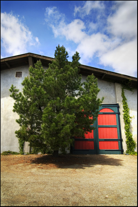 Colors of Napa