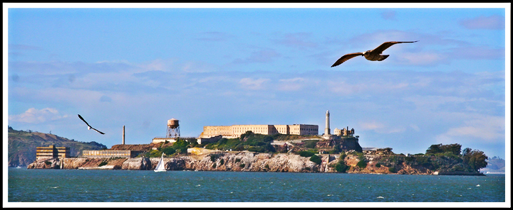 Escape From Alcatraz