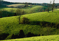 Kentucky Hills