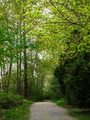 The Road I Seldom Travel