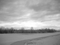 Windy day after a storm