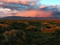 Wide Open Spaces