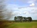 The guard of the nature - a view from a train