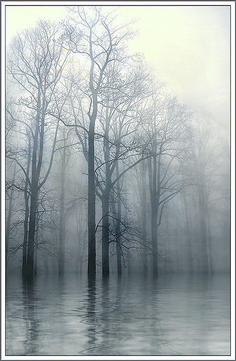 Dead Calm